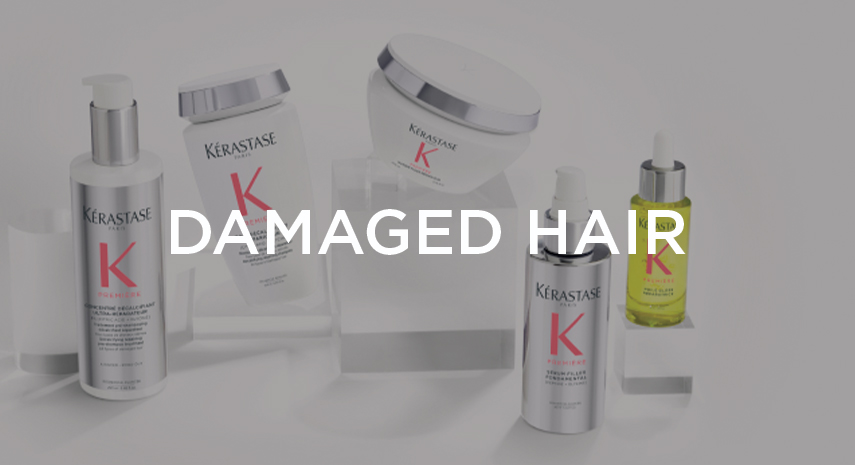 /~kerastase/search?q=kerastase%20resistance