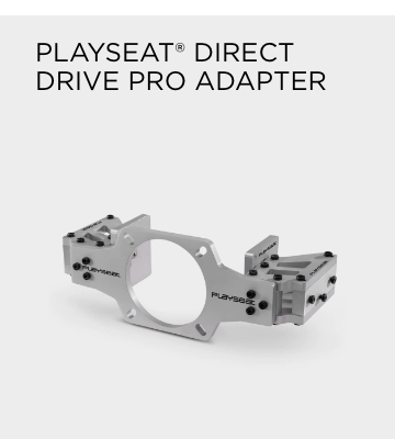 /~playseat/N70033215V/p